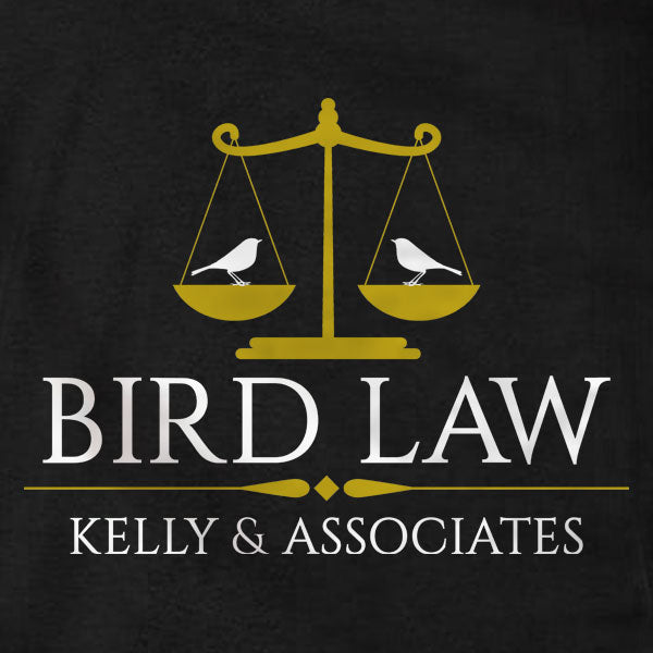 Bird Law - Hoodie