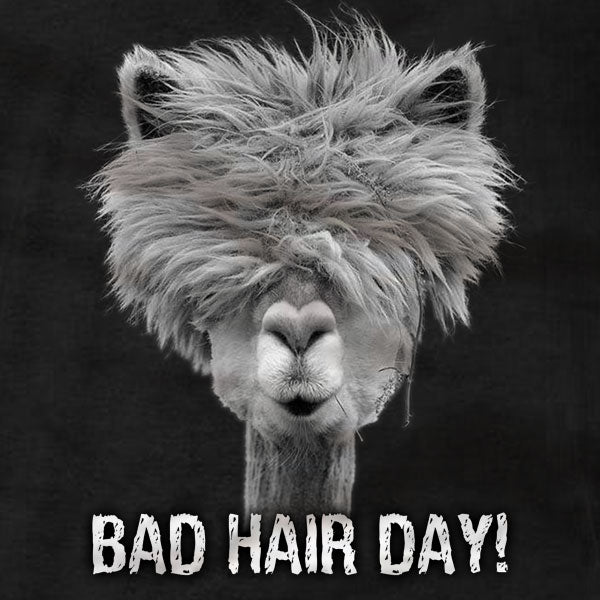 Alpaca Bad Hair Day - T-Shirt - Absurd Ink