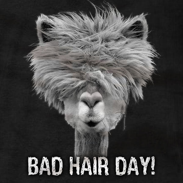 Alpaca Bad Hair Day - Ladies Tee - Absurd Ink