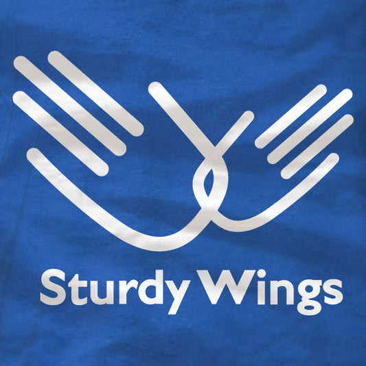 Sturdy Wings T-Shirt - Role Models - Unisex Tee - Absurd Ink