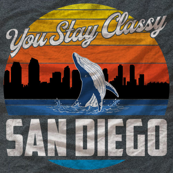 San Diego Hoodie - You Stay Classy - Absurd Ink